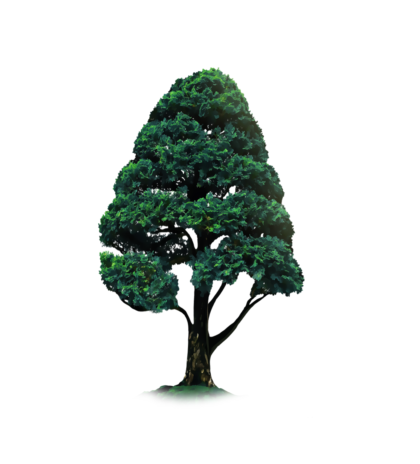 TRESS PNG - Exetramix