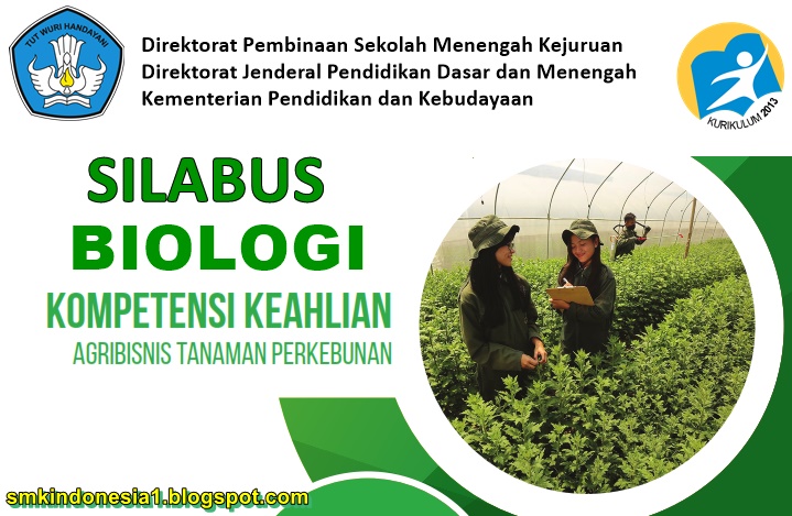 Rpp Agribisnis Tanaman Perkebunan Kurikulum 2013 Revisi Sekolah