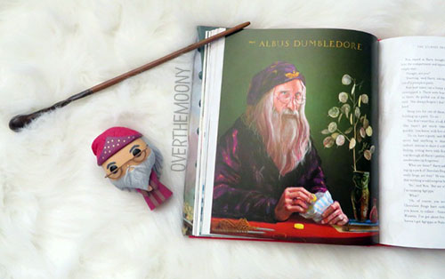 Harry Potter and the Sorcerer's Stone Illustrated Edition
