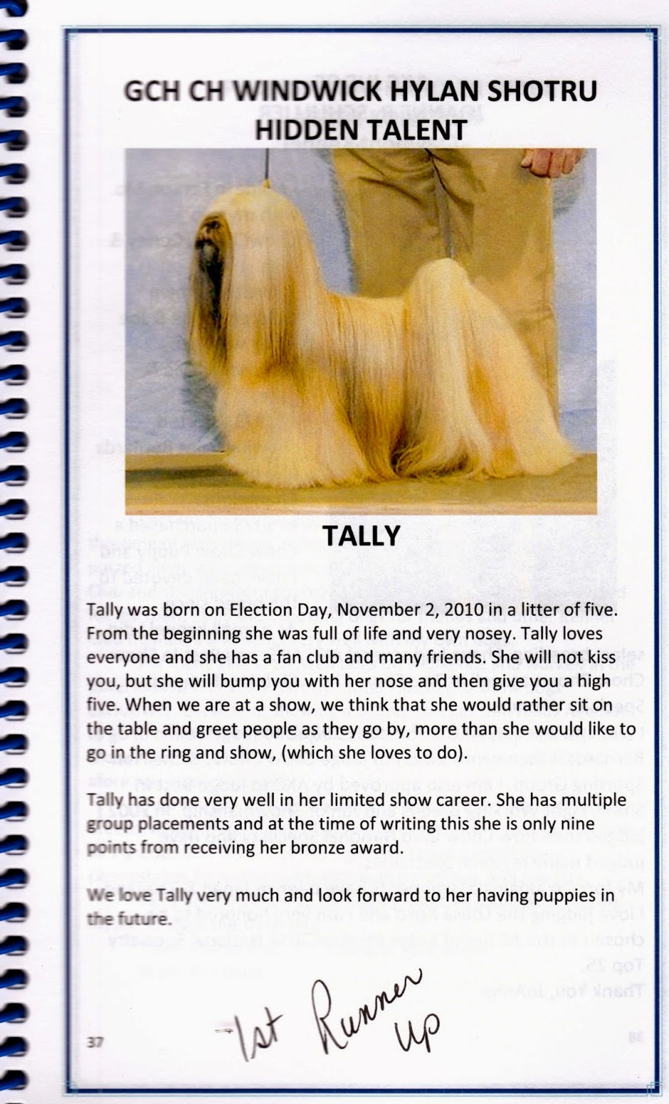 Lhasa Apso Blog Part II American Lhasa Apso Club National Specialty