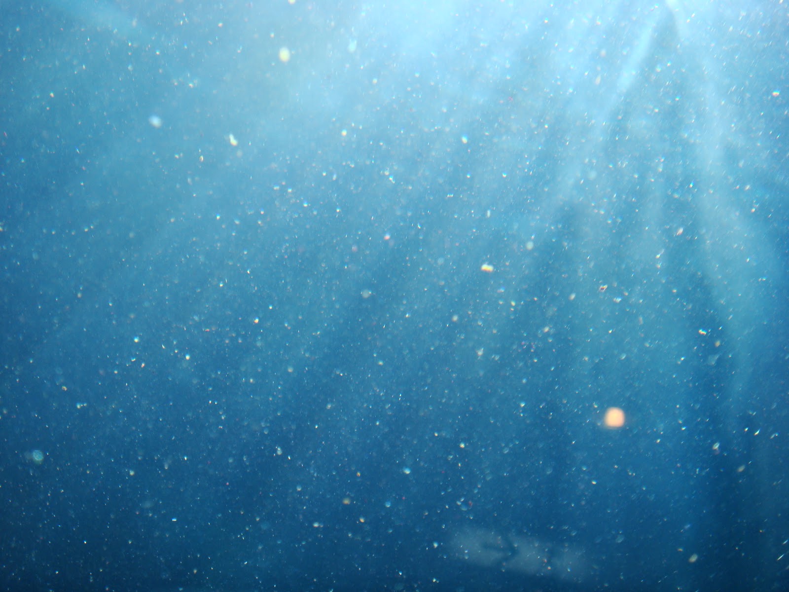 Lighting Journal: #3 reflections in the water. light rays