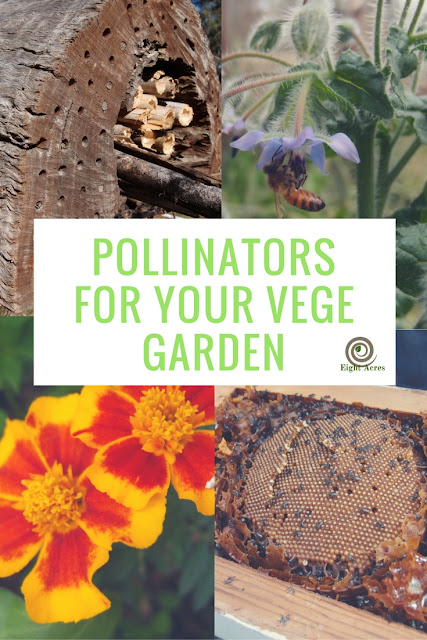 eight acres: Pollinators for your vegetable garden