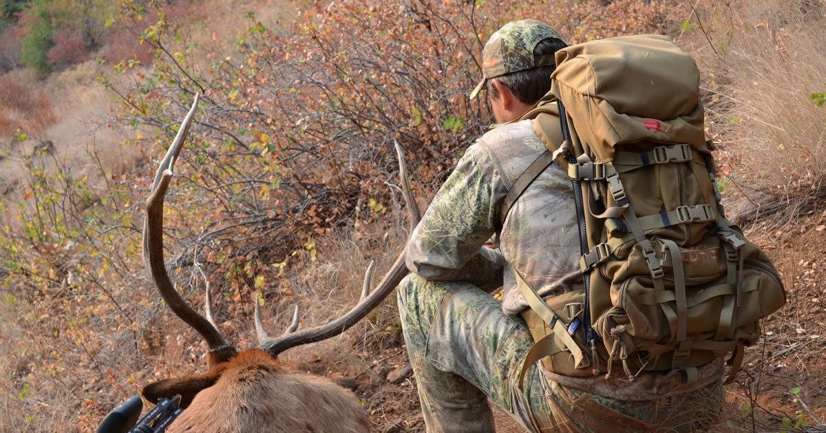 Army Hunting Packs Australia Voodoo Tactical Why Should You Buy