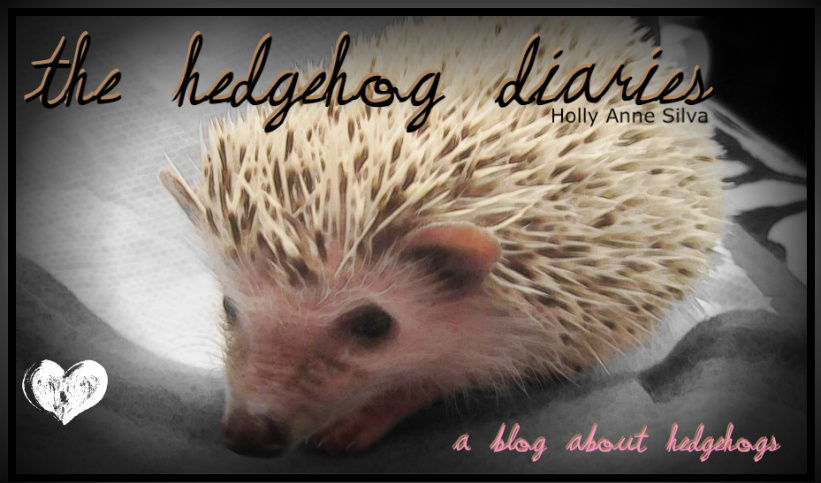 The Hedgehog Diaries