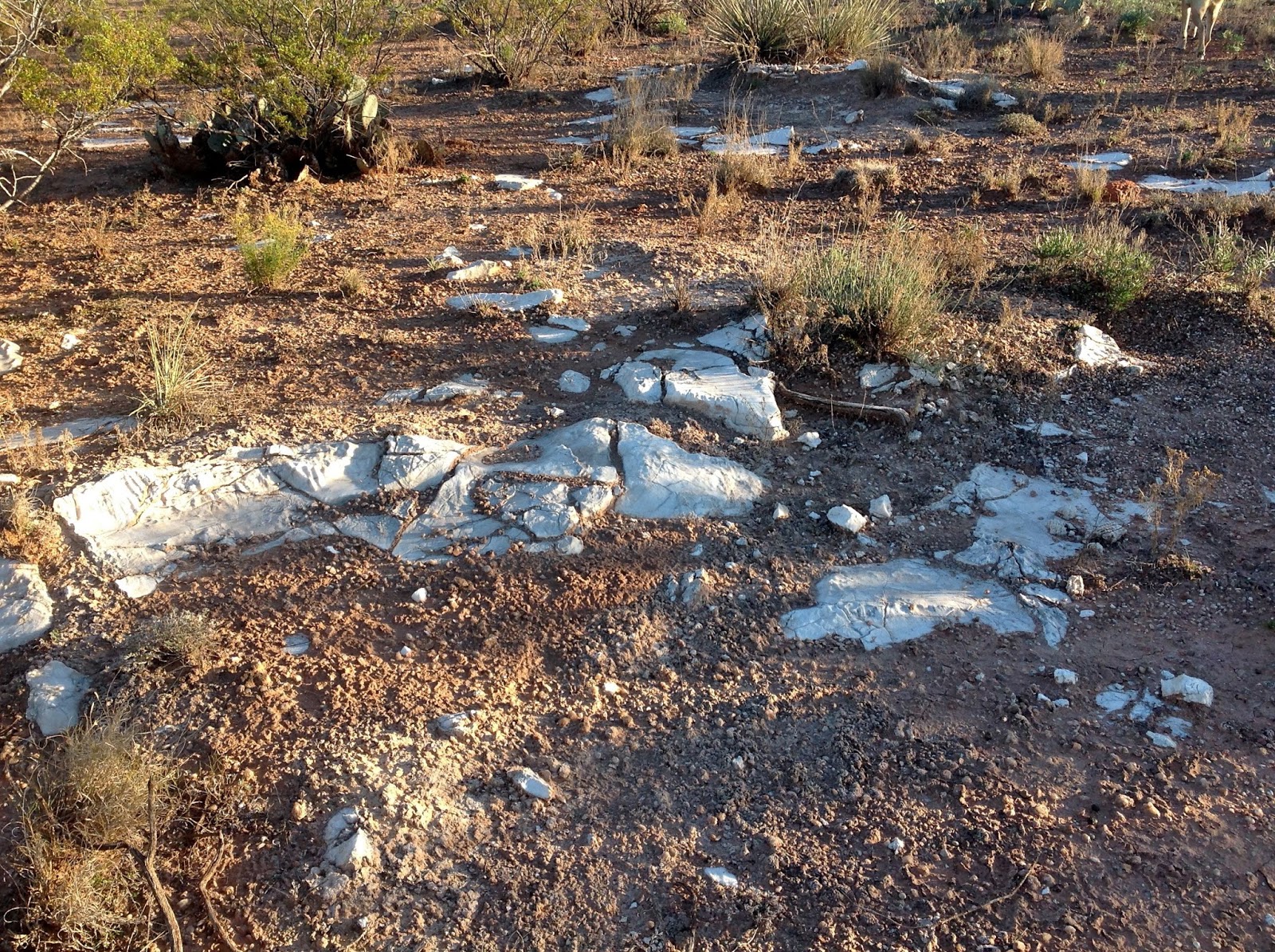 Northwest and Southwest Rockhounding Finding Pecos Diamonds in New