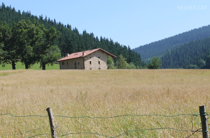 Hoy compartimos tiempo de verano fotografía