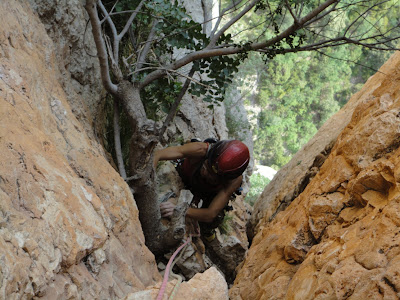 Aprenent: Gritos y susurros – Diedre Gris - Montrebei