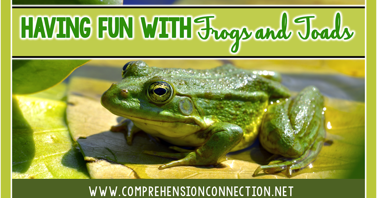 Having Fun with Frogs and Toads Comprehension Connection