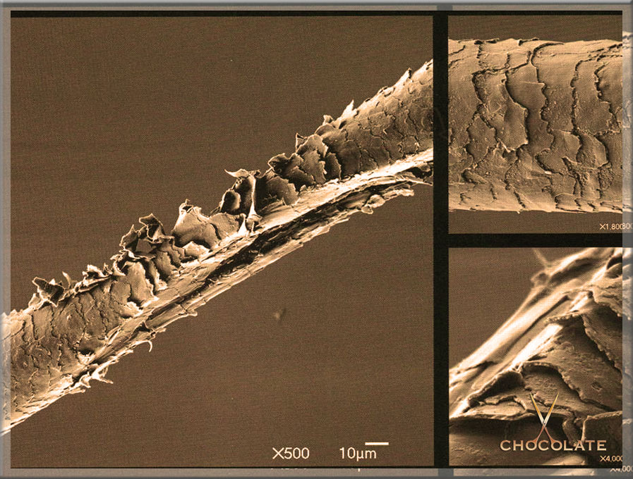 Разрушенные волосы. Пористый волос под микроскопом. Секущиеся кончики под микроскопом. Поврежденный волос секущийся волос под микроскопом. Поврежденный волос под микроскопом.