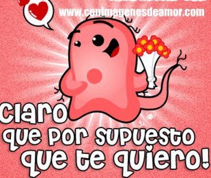 Muchas imagenes de amor, imagenes amorosas con frases de amor