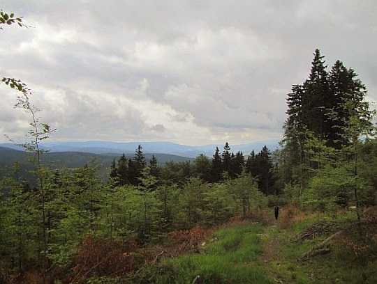 Panorama ze szlaku na Jawornik Wielki. Panorama ze szlaku na Jawornik Wielki.