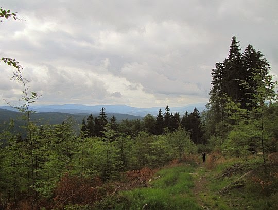 Panorama ze szlaku na Jawornik Wielki.