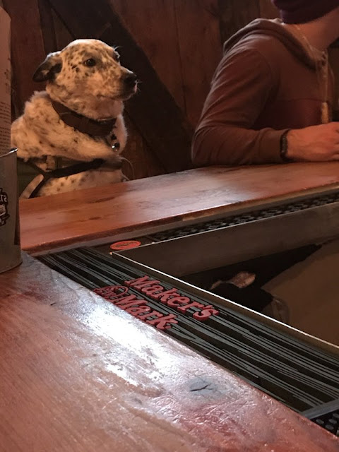 My favorite customer at the bar tonight My favorite customer at the bar tonight