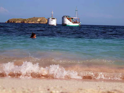 Bored amongst white sandy beaches too dark BaliTourismMap: Pink Beach inwards Indonesia