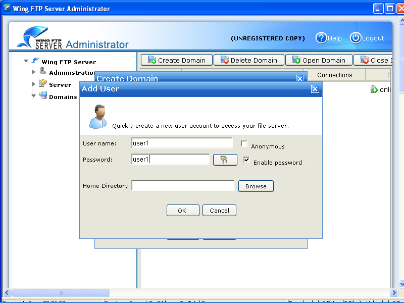 Wing FTP Server Tutorial How to set up Wing FTP Server?