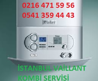 Atasehir Vaillant Kombi Servisi 0216 471 59 56 Beyaz Esya Kombi Ve Klima Servisi