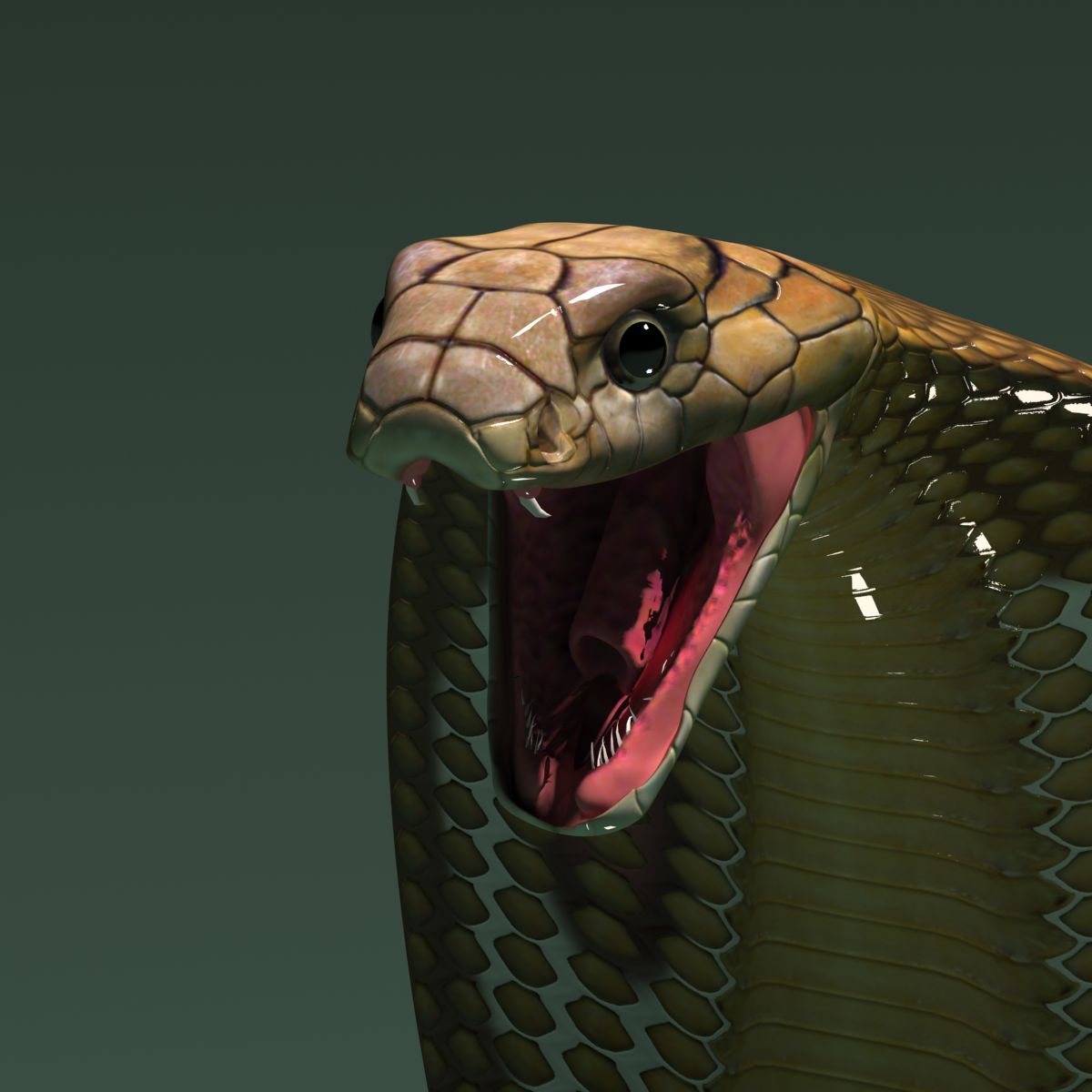 Snakes 3d
