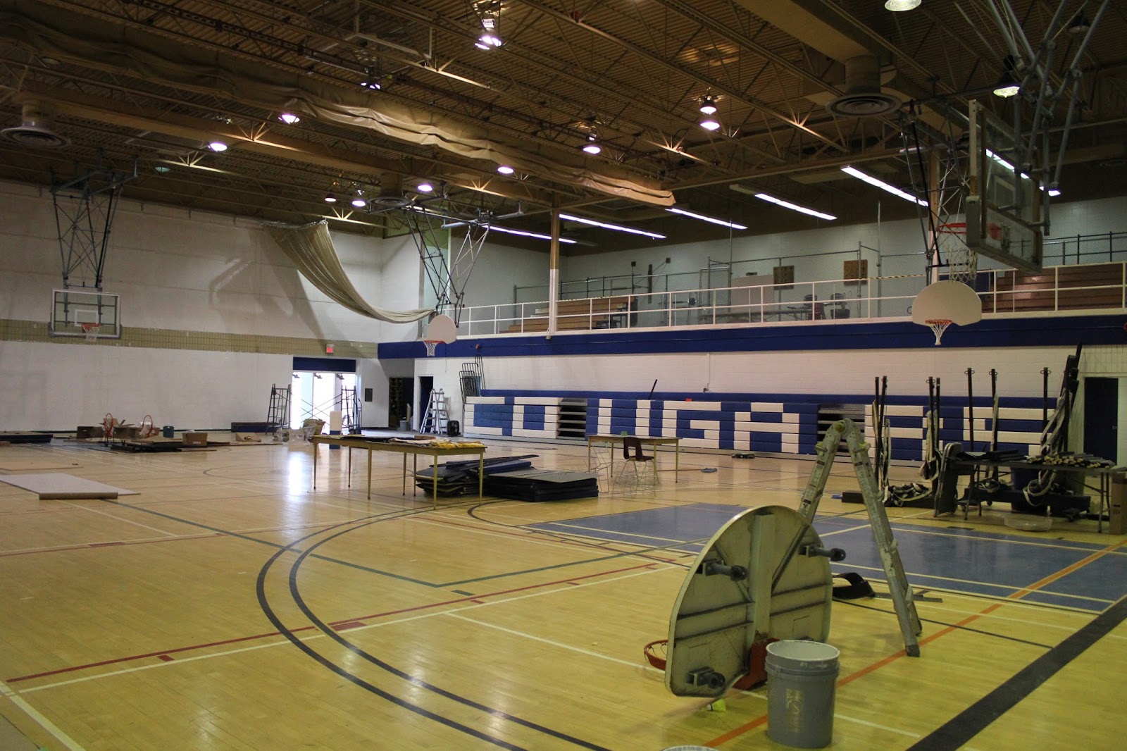 Carman Collegiate Cat's Meow Gym Reno's