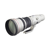 What Photography Gear to Buy with Your Tax Return Canon 800mm f5.6L USM Lens by Dakota Visions Photography LLC 