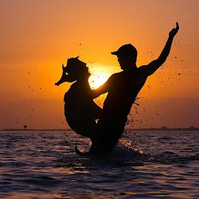 14-Seahorse-Riding-John-Marshall-Sunset-Selfie-Photographs-with-Cardboard-Cutouts-www-designstack-co