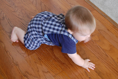 Blair's Blessings: 7 Quick Takes Friday-Crawling 9 month ...