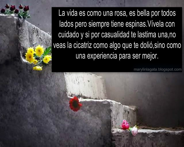 La Soledad : Así es la vida.