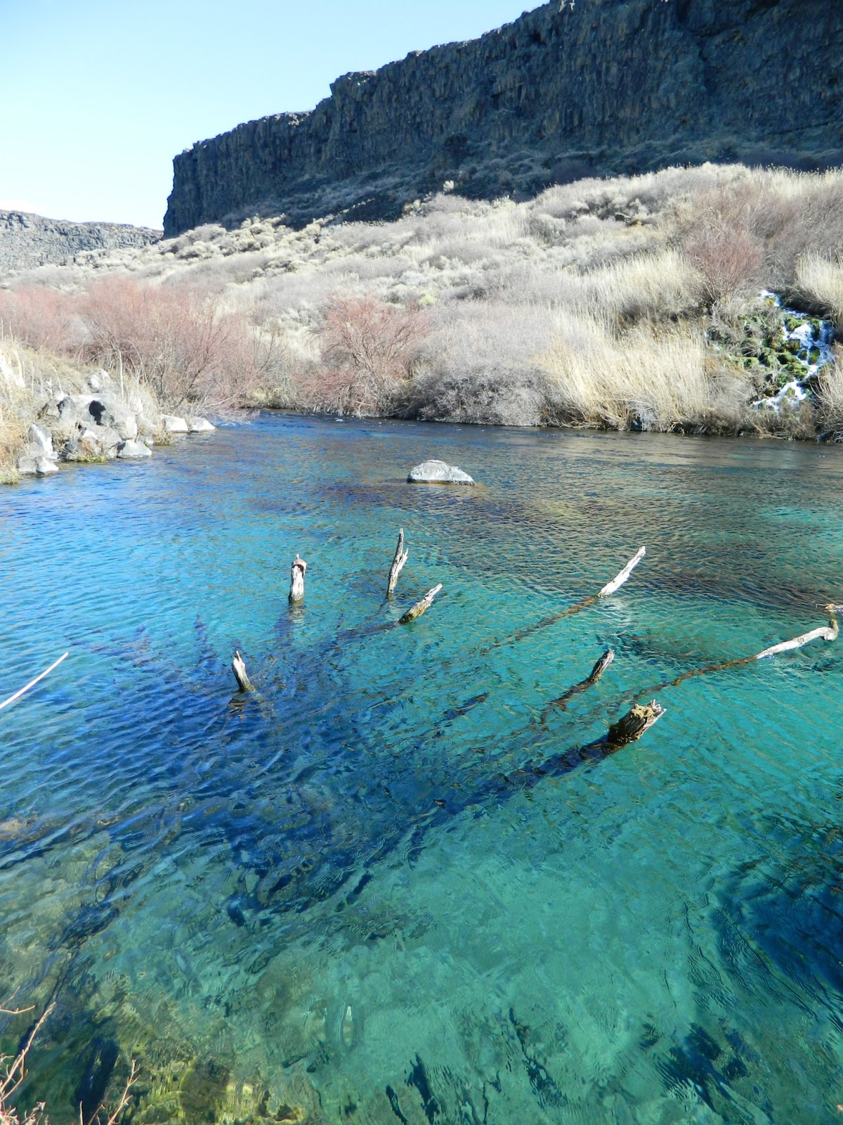 Living in Idaho Box Canyon Springs in February