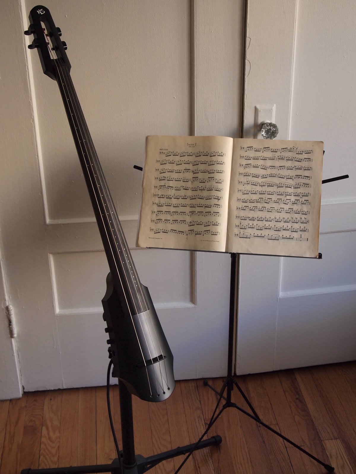 The World of Jez My new electric cello The NS NXT