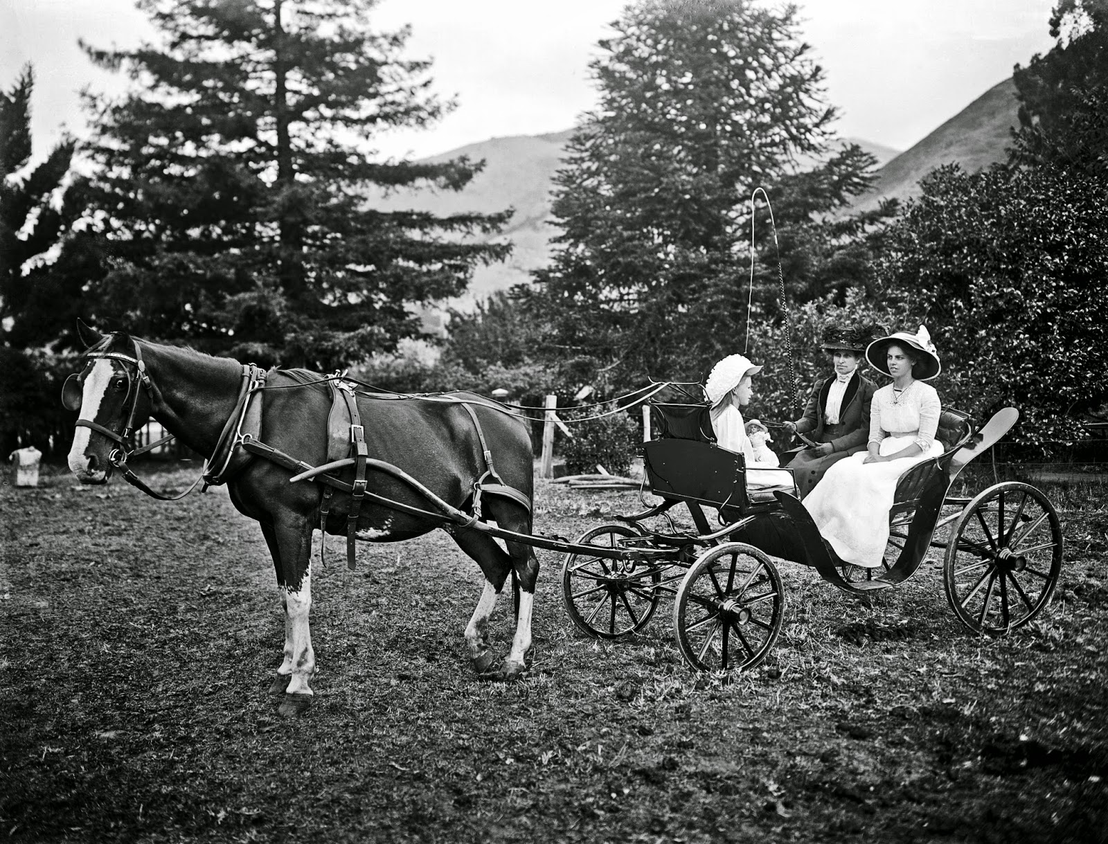 History in Photos Horse and Buggy