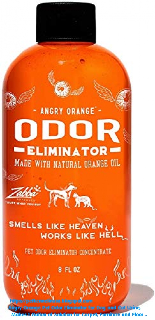 6 BEST Angry Orange Pet Odor Eliminator for Dog and Cat Urine, Makes 1 Gallon of Solution for