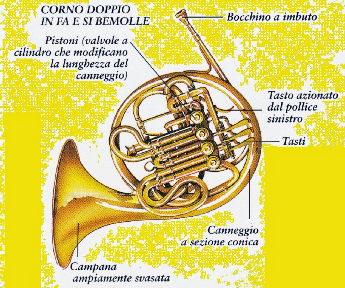 Gocce di note STRUMENTI MUSICALI IL CORNO (Musical Instruments The jpg (1100x917)