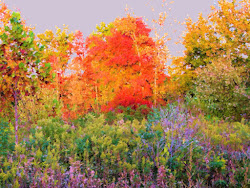 fall tree painting trees paintings unusual september artists