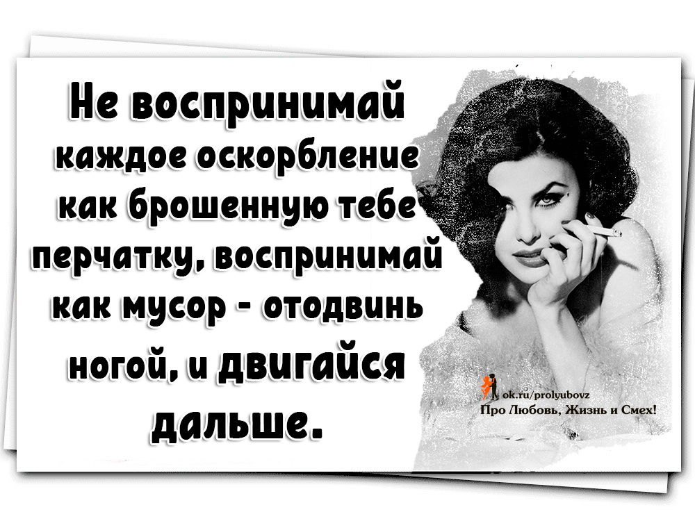 не воспринимайте каждое оскорбление. оскорбления не примерять лохмотья. афоризмы про оскорбления. чем меньше интеллект тем громче оскорбления. что ответить на оскорбление.