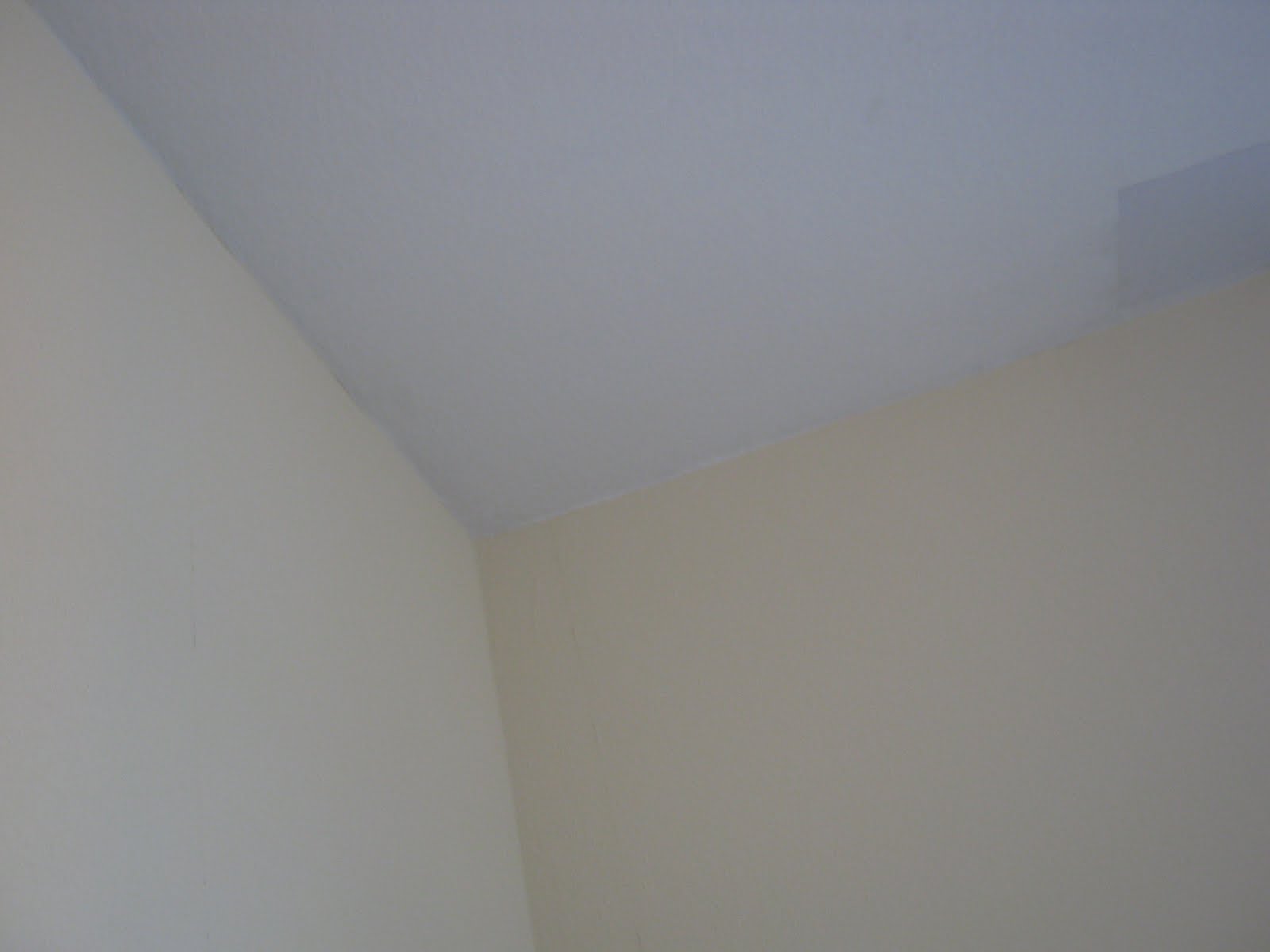 Dassis Renovierungstagebuch: Juli 2011