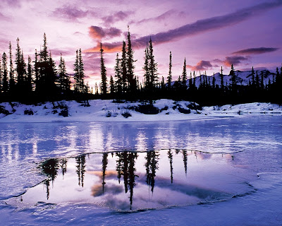 HD Wallpaper of Winter for iPhone