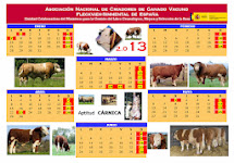 Calendario 2013