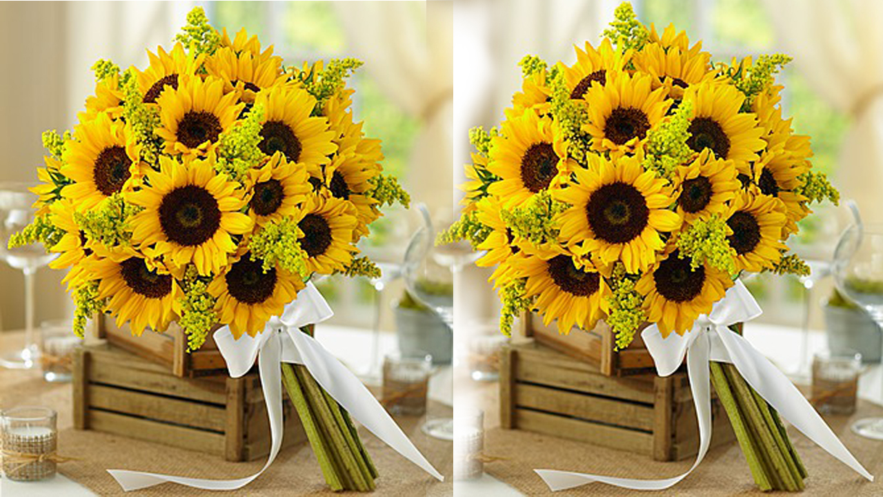 Y Nghĩa Hoa Hướng Dương Sun Flower