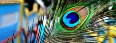 Beautiful Nature Wallpapers With Quotes For Facebook Cover Page Beautiful Nature Wallpapers With Quotes For Facebook Cover Page