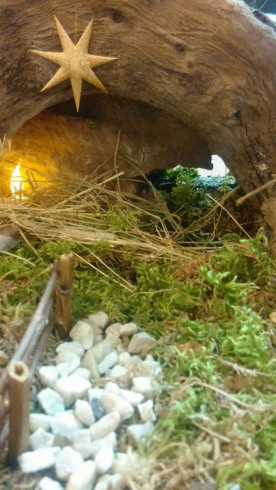 Andy Goldsworthy Wikipedia