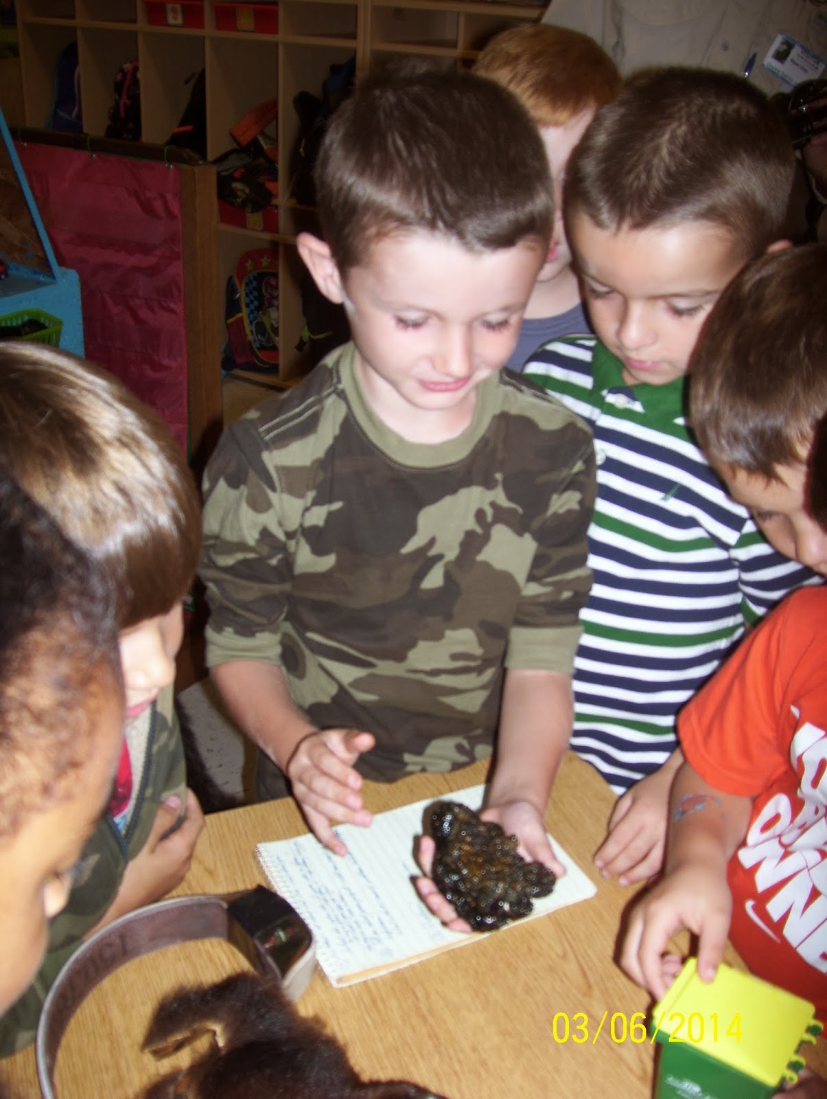 Ms. Gossett's Nest Bear Biologist Shares His Knowledge
