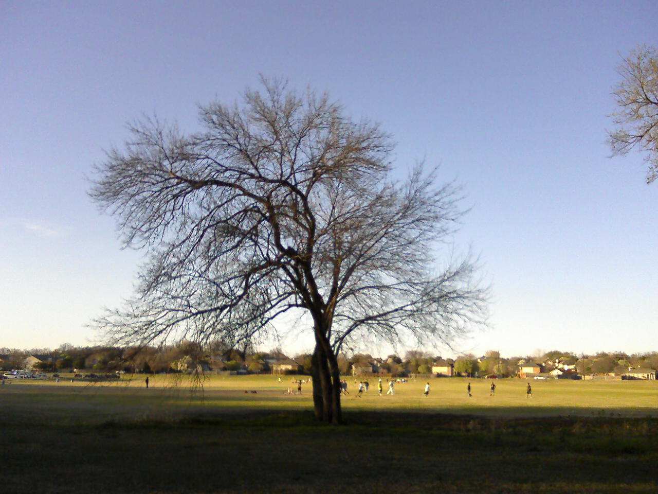 Discover the World Wilson Creek Trail & Park, McKinney