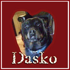 Dasko -My Wonderful Boy