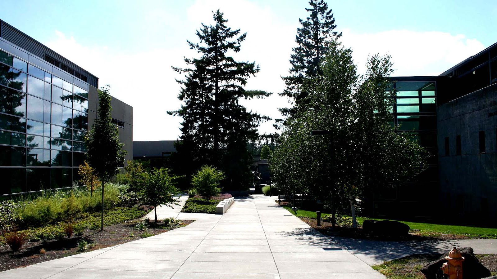 Everest University Online Student Services University Choices