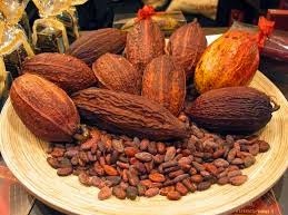 MESIN kakao
