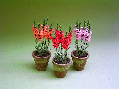 Miniature flowers and plants: Georgie Steeds