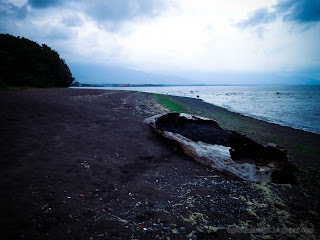 Natural Beauty Of Fishing Beach With Big Dry Tree Trunk At Umeanyar Village, North Bali, Indonesia