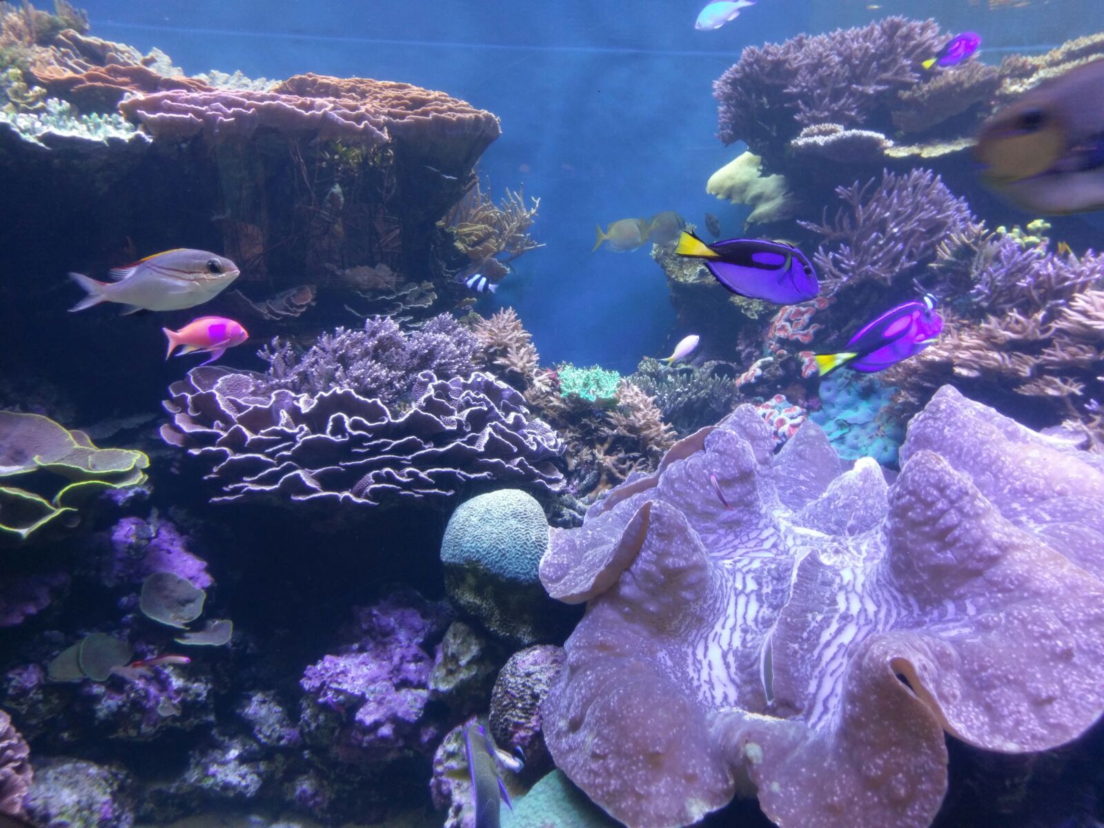 Honolulu Zoo & Aquarium