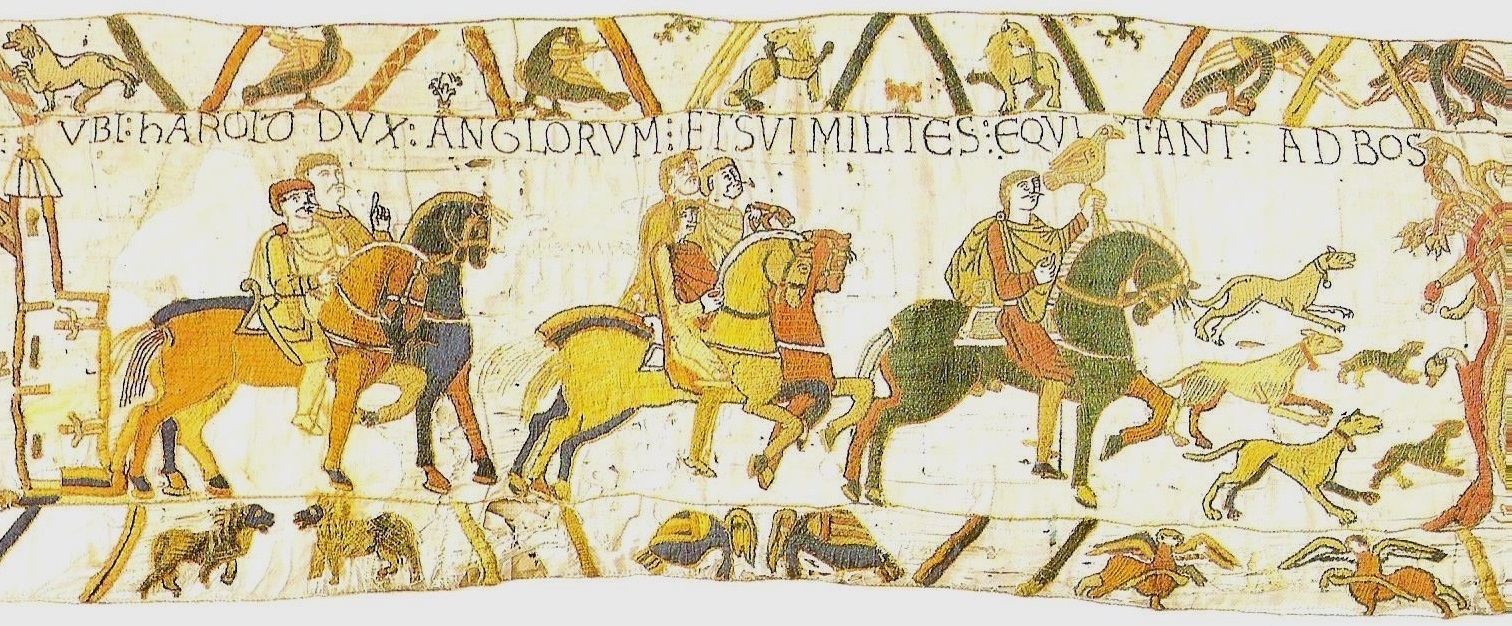 Imparare con la Storia L'arazzo di