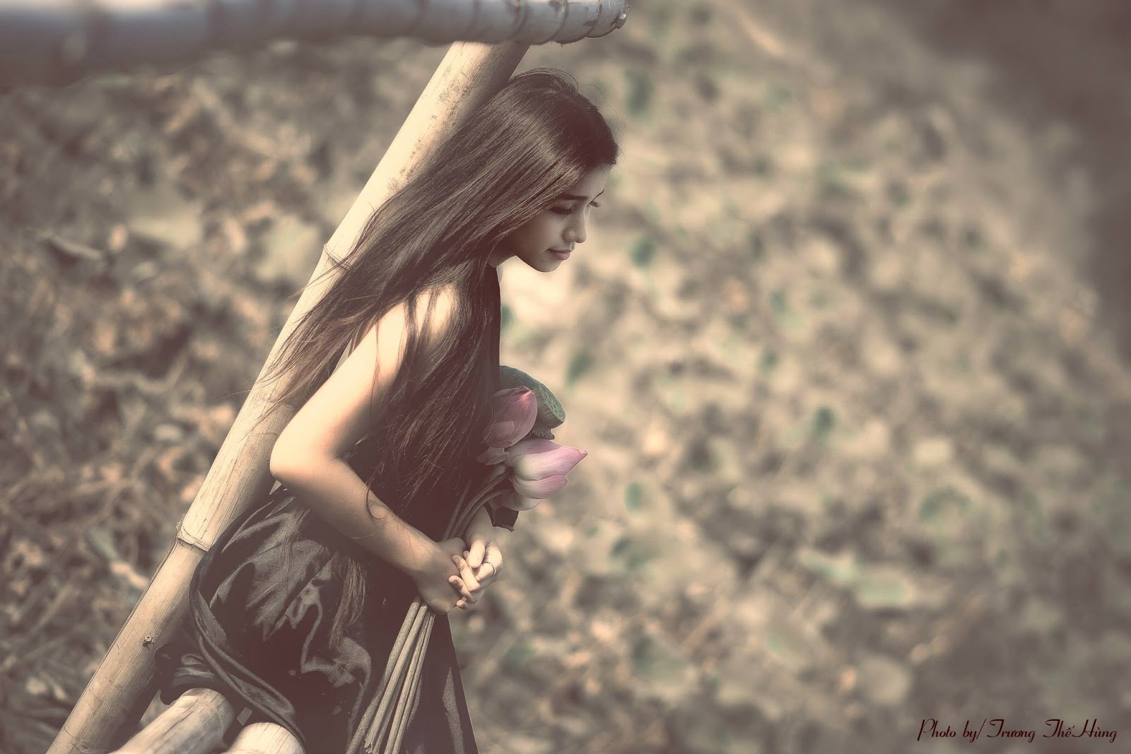 View - Cute girl Việt Nam xinh đẹp tổng hợp pack16 - ✫ Ảnh đẹp ✫