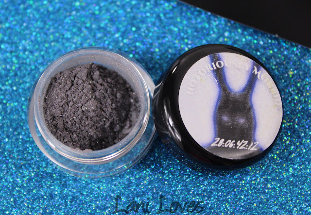 Notoriously Morbid Frank Eyeshadow Swatches & Review